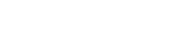 Bavarian Auto Service